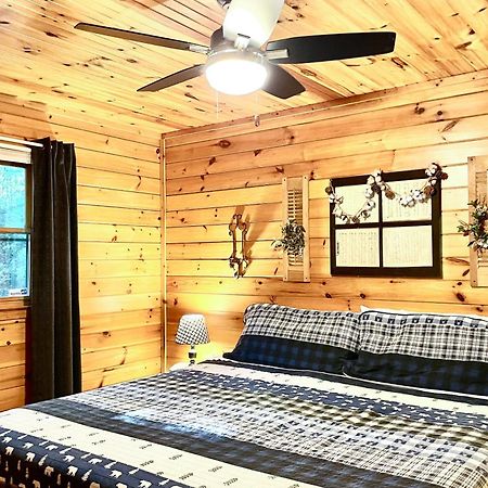 Coffee Creek Cabin Sautee Nacoochee Kültér fotó